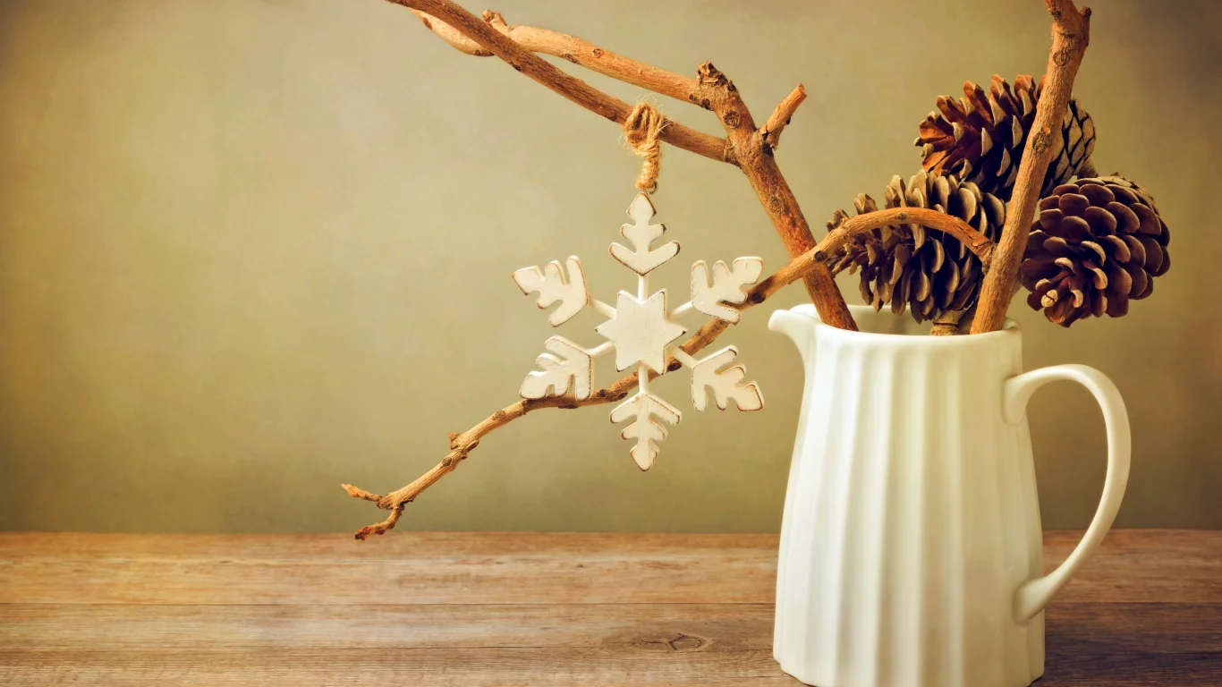 cone, snowflake, winter, still life, снежинки, merry christmas, зима, holiday