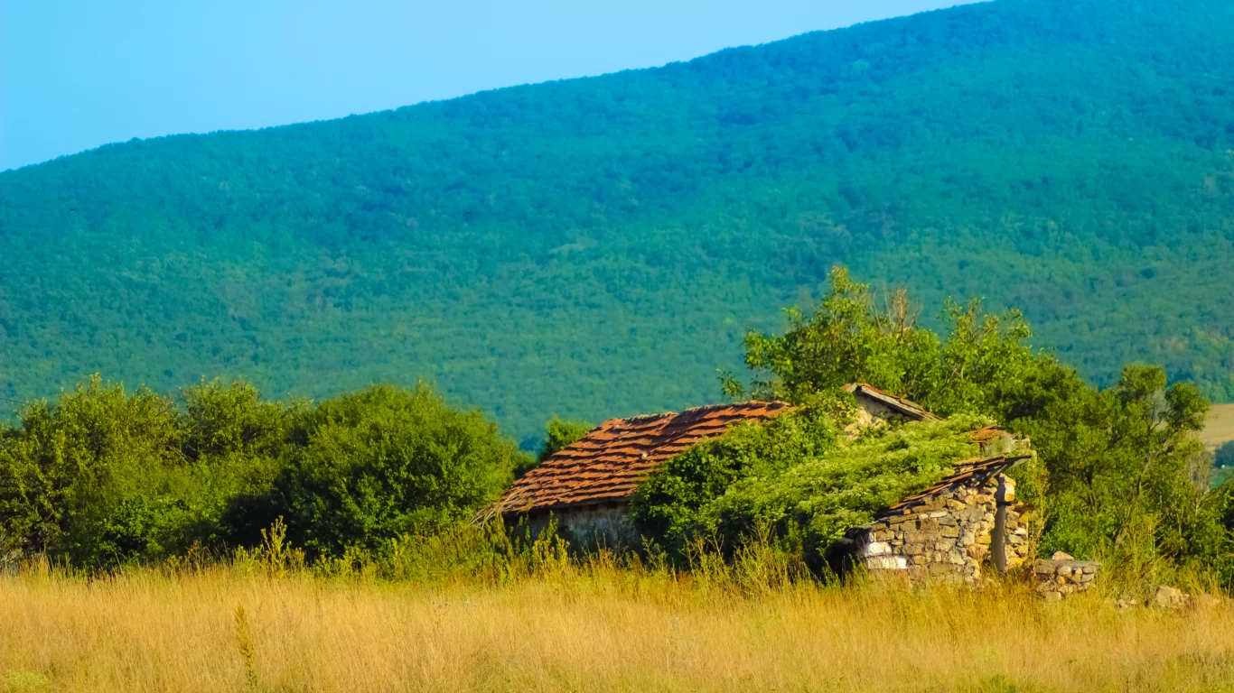 дом, лес, природа, Крым