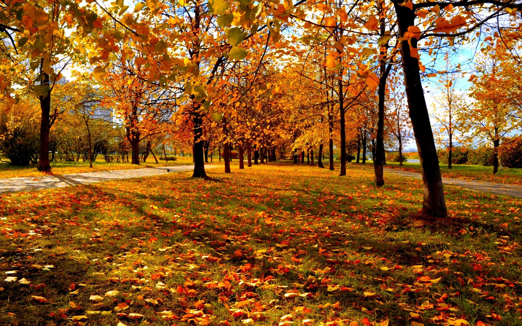 городской парк, красно-жёлтые листья, деревья, осень