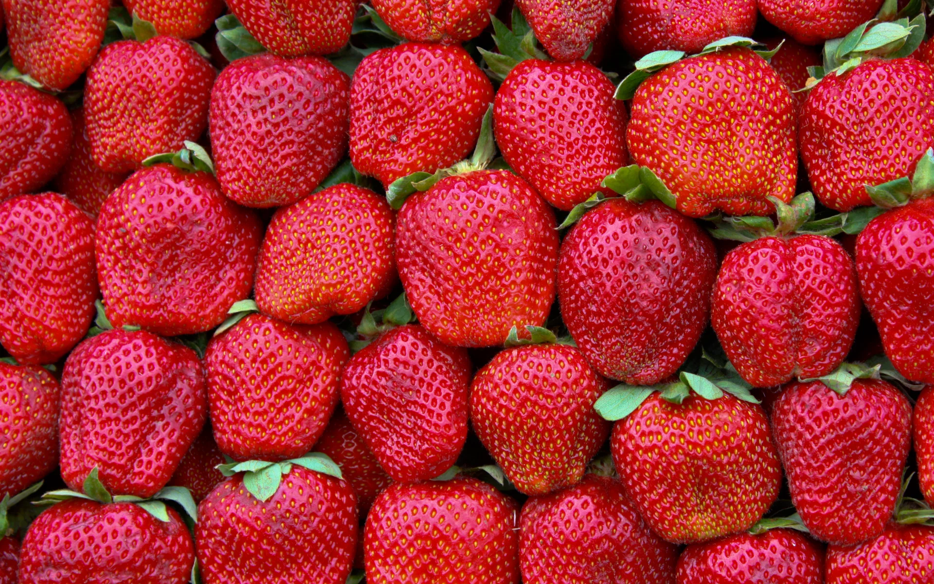strawberries, pattern, green, red