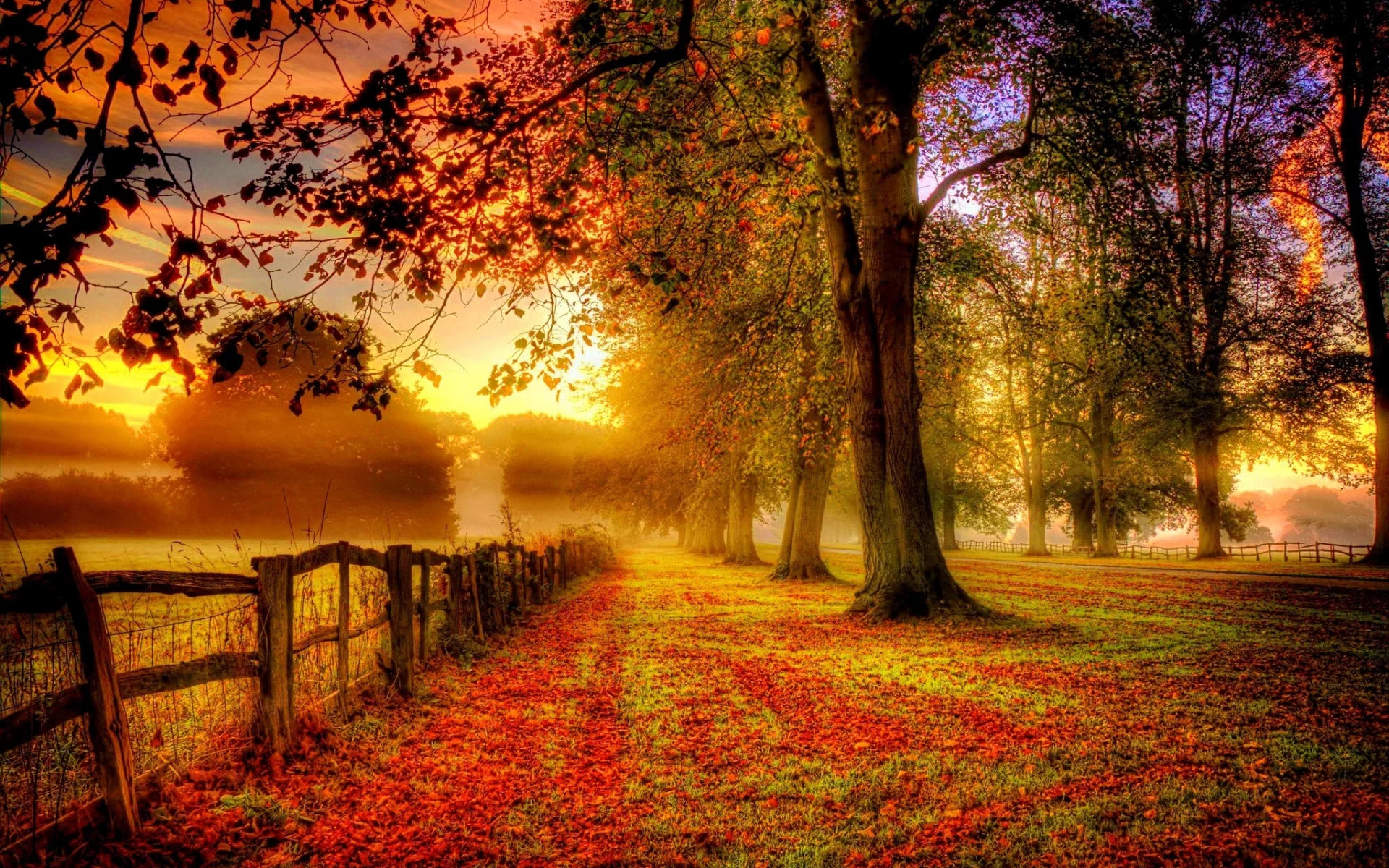 autumn, leaves, nature, park, colors, листья, fall, path, walk, road, colorful, trees