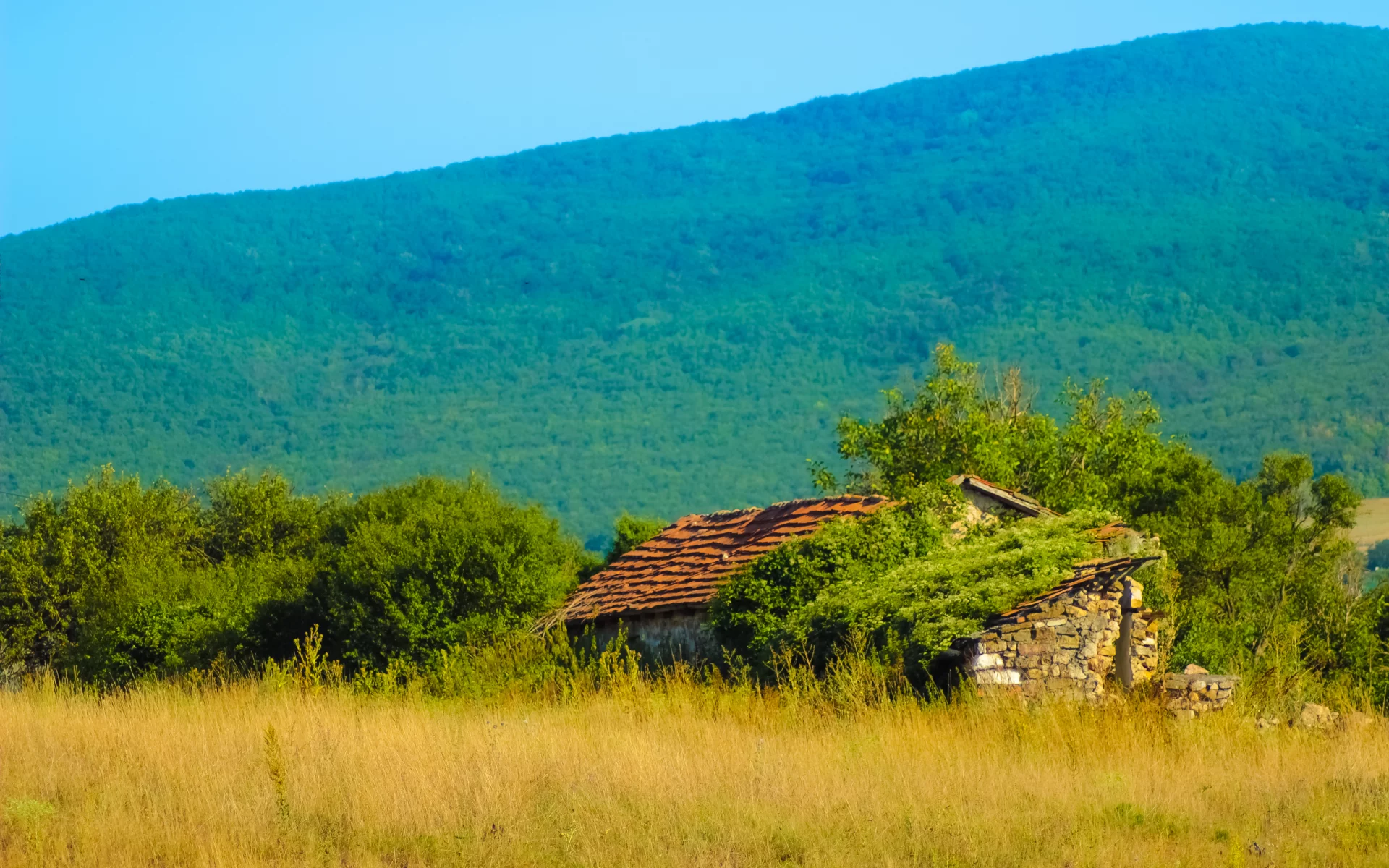 дом, лес, природа, Крым