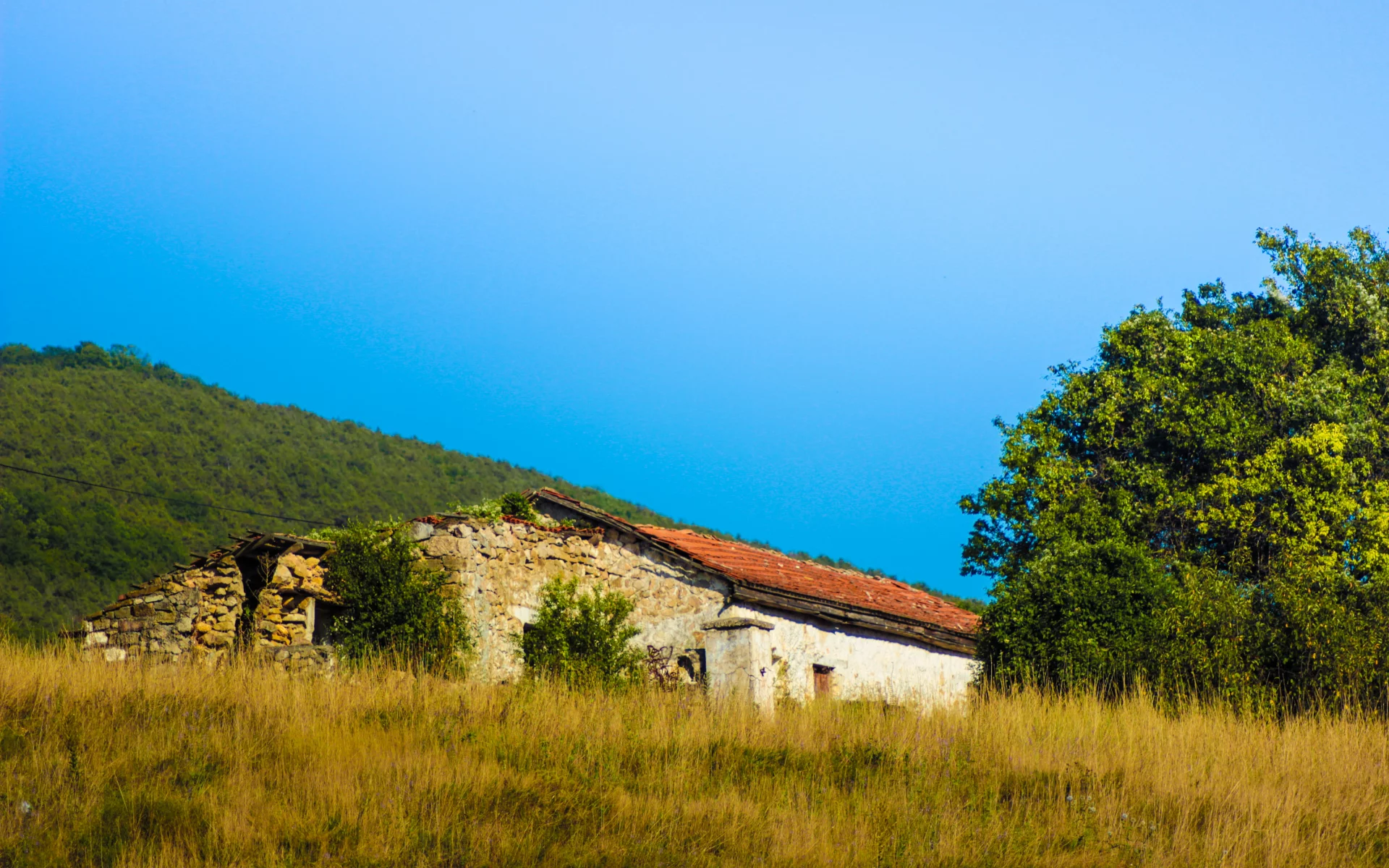 дом, лес, природа, Крым
