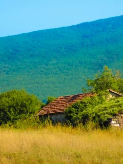 дом, лес, природа, Крым