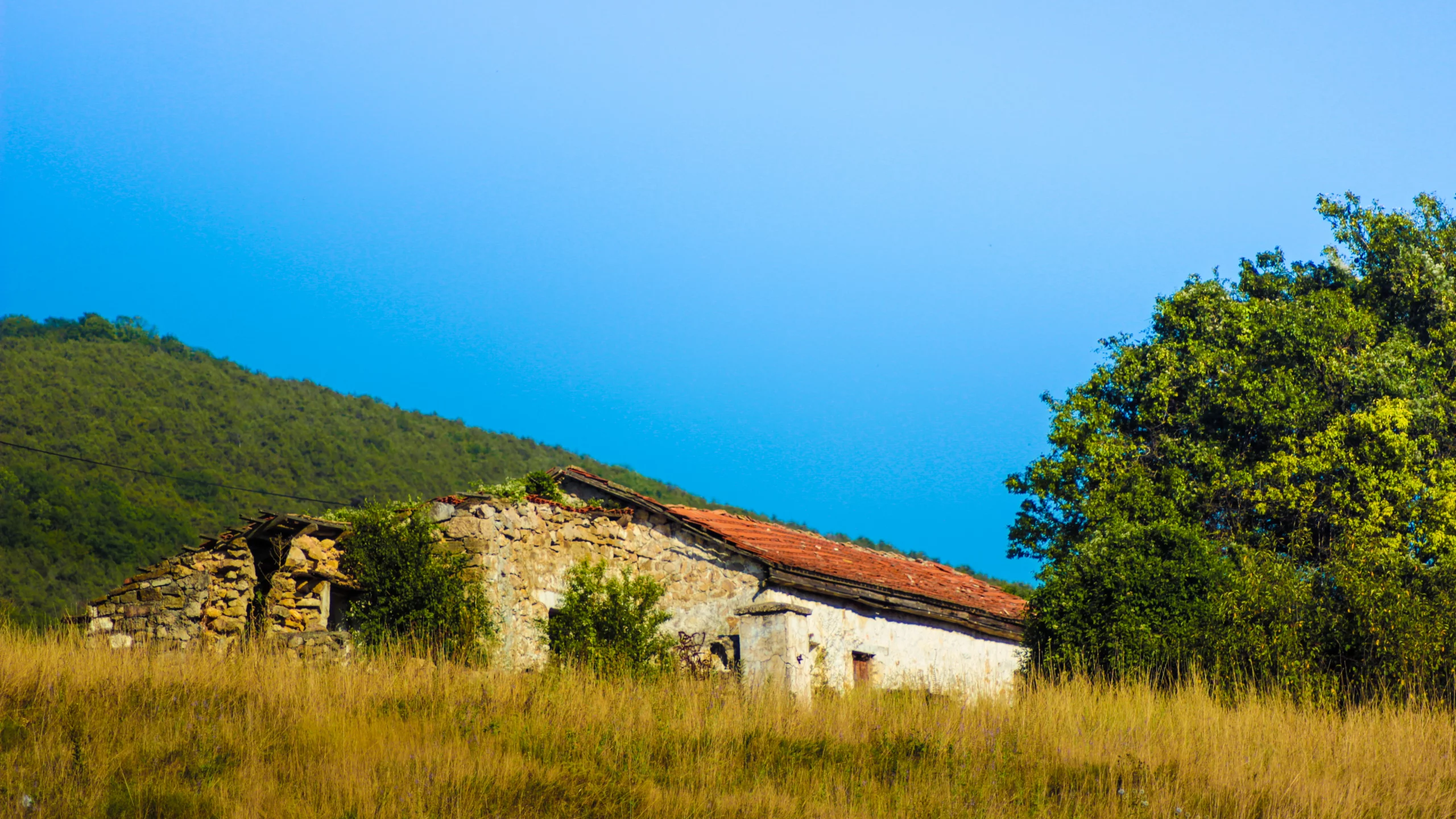 дом, лес, природа, Крым