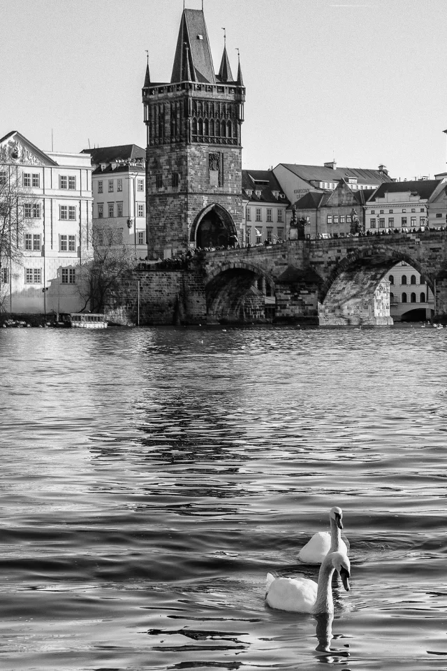 czech, josefov, karl__v most, prague, чехия, praha, йозефов, прага