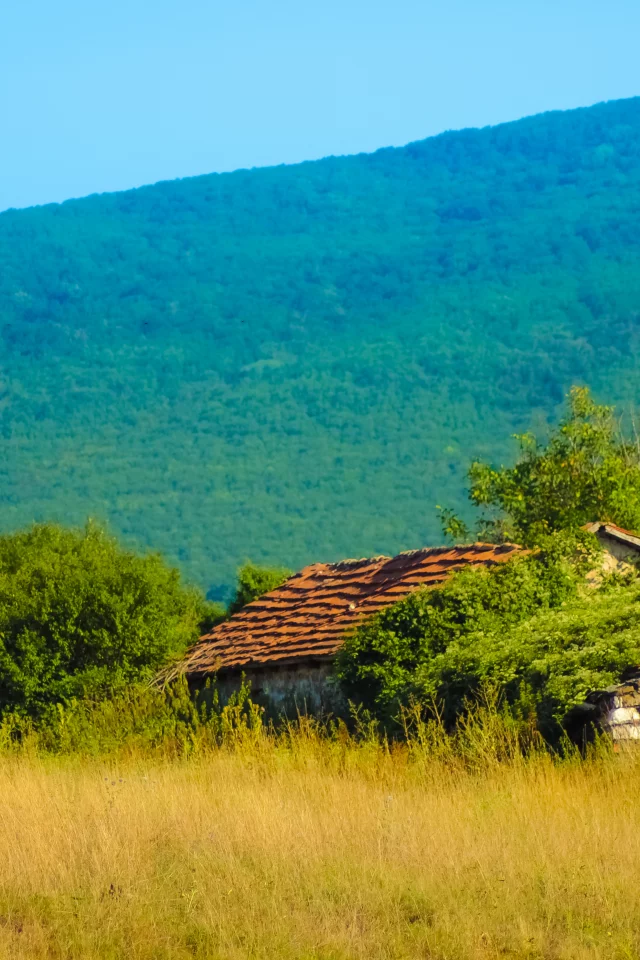 дом, лес, природа, Крым