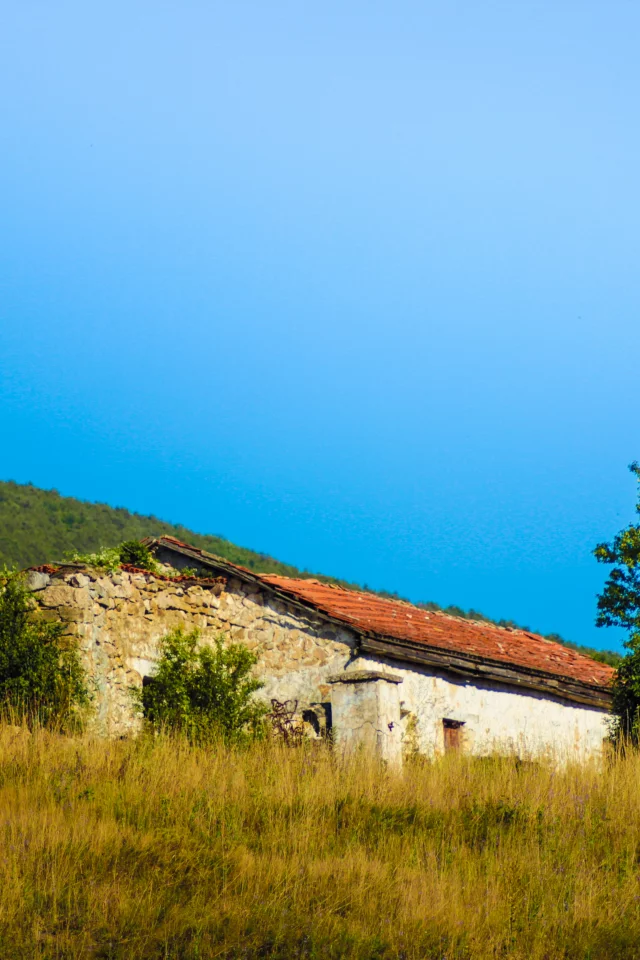 дом, лес, природа, Крым