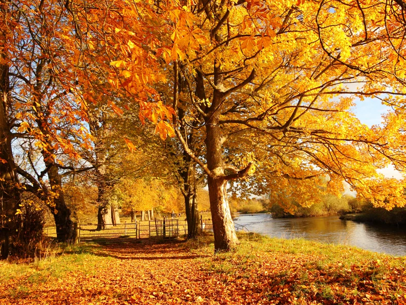 scotland, город, мотеруэлл, motherwell, шотландия, мазервелл