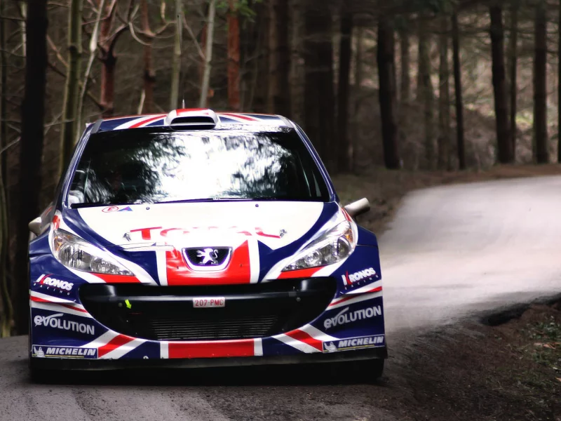 peugeot, пежо, авто, ралли, rally, передок, машина, гонка, wrc