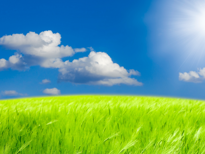 grass, clouds, green field, природа, landscape, пейзаж, sunlight, sky, nature