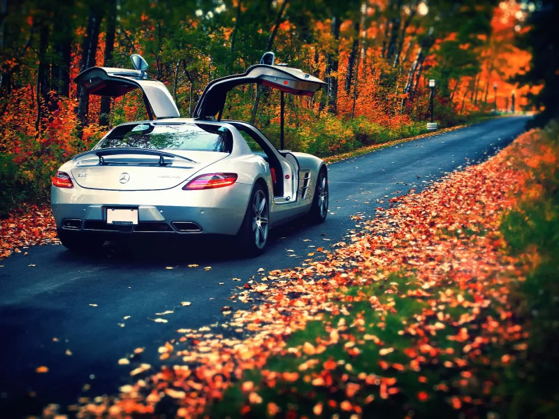 silvery, mercedes-benz, amg, rear, листья, sls, осень, 63