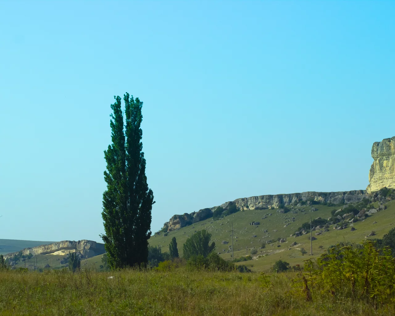 Скала, природа, Крым