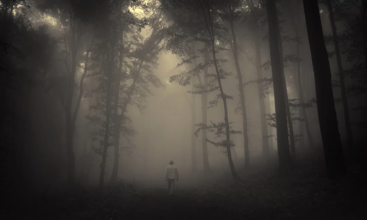 sadness, lonely old man, road, trees, creepy, nature, лес, misty, landscape, forest