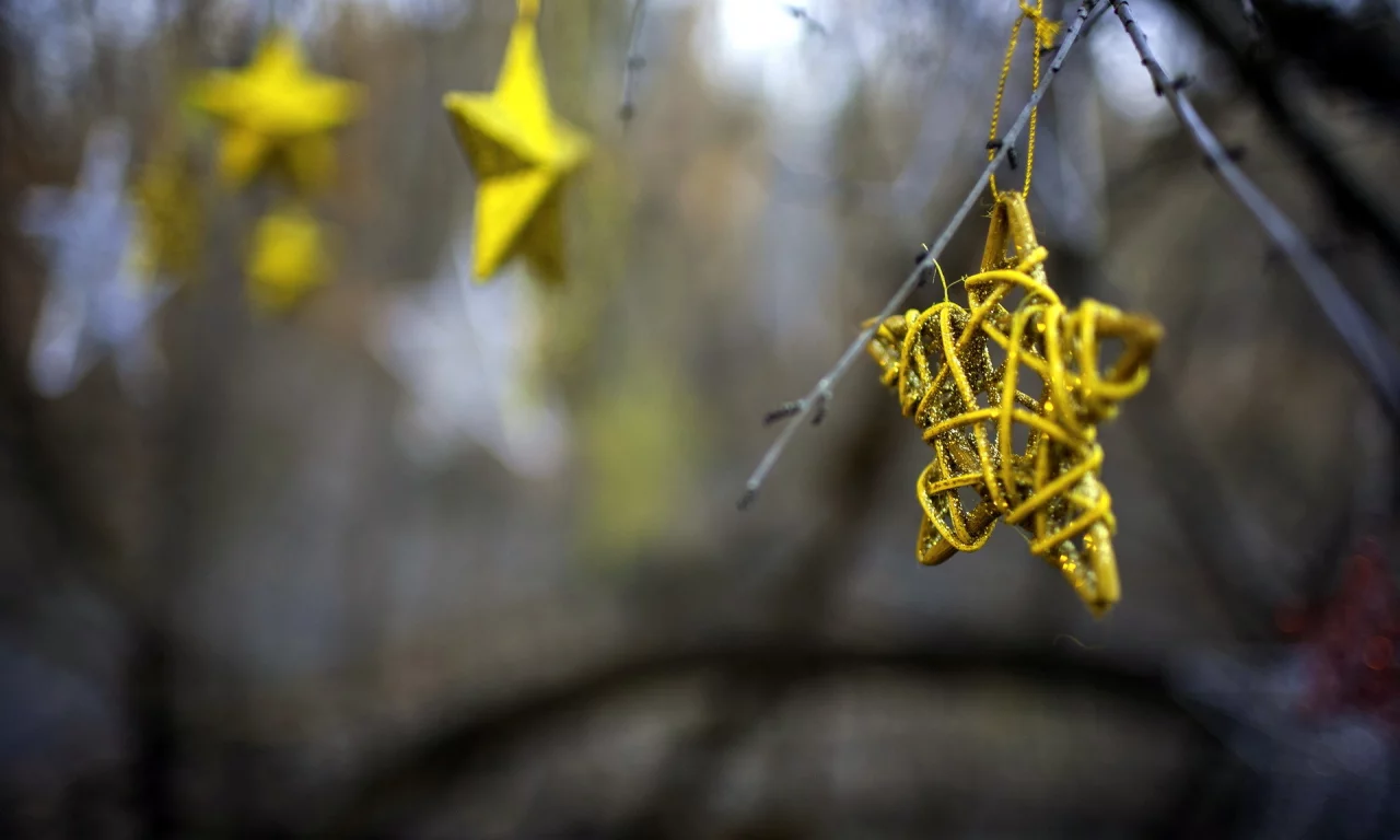stars, праздник, макро