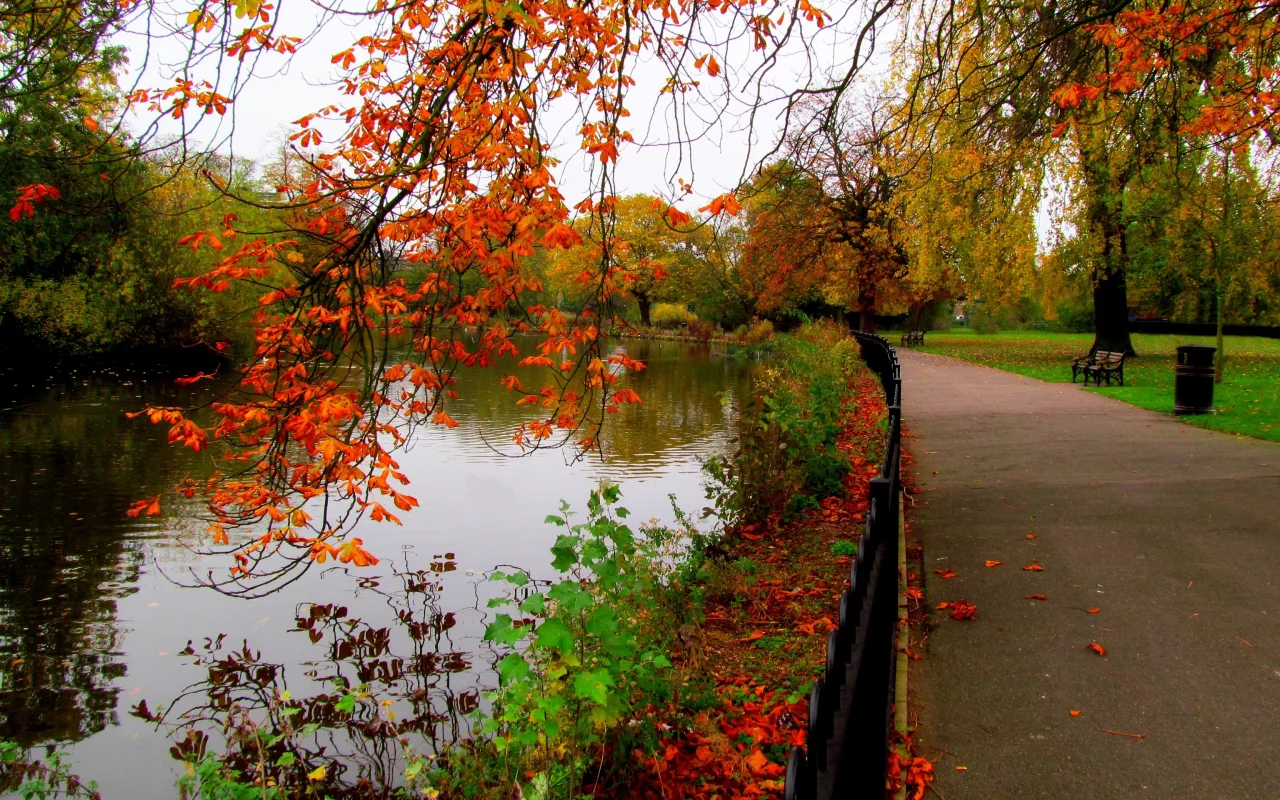 river, trees, view, bench, autumn, walk, sky, alley, water, hdr, leaves, fall, park, nature, forest