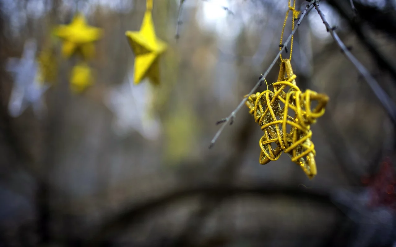 stars, праздник, макро