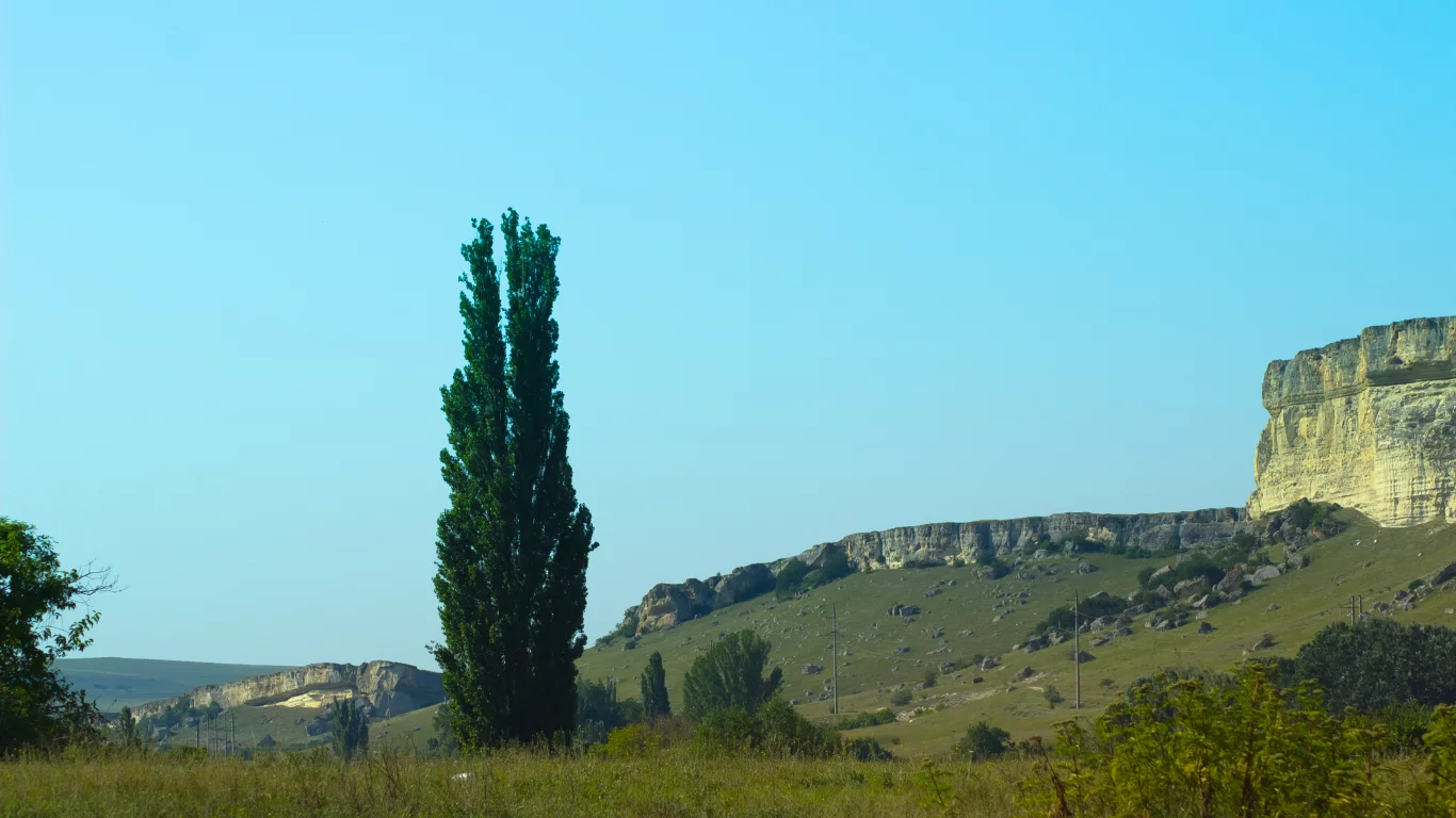 Скала, природа, Крым