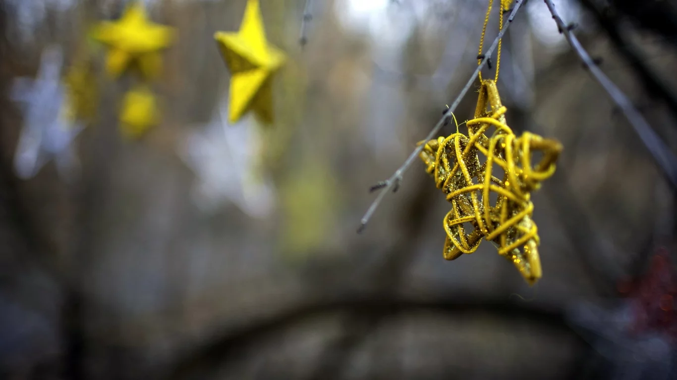 stars, праздник, макро