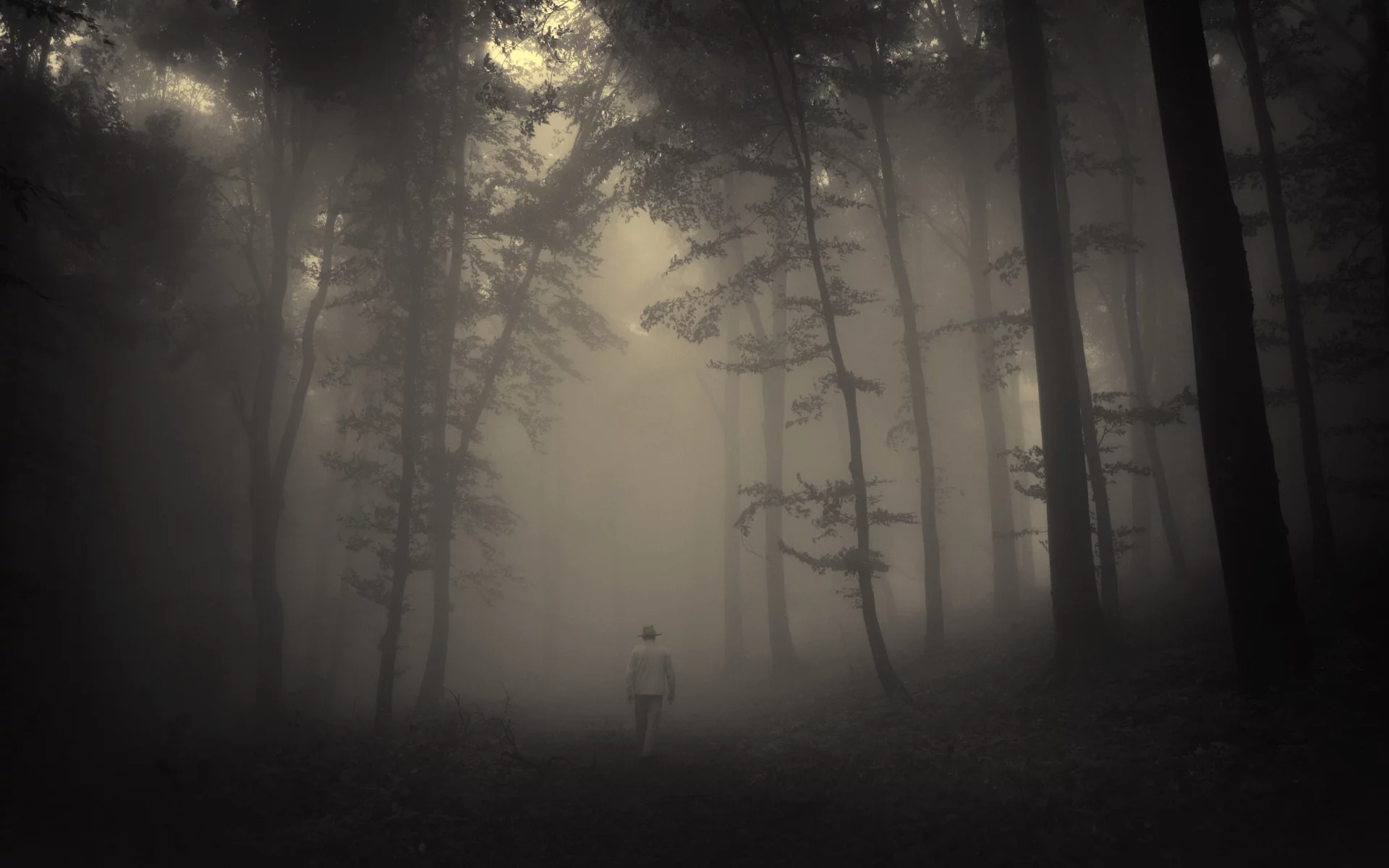 sadness, lonely old man, road, trees, creepy, nature, лес, misty, landscape, forest