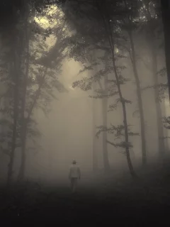 sadness, lonely old man, road, trees, creepy, nature, лес, misty, landscape, forest