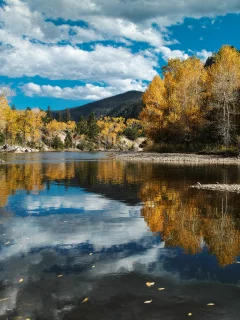 река, облака, осень, природа, небо, лес