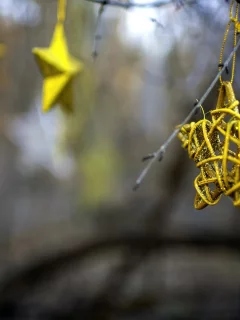 stars, праздник, макро