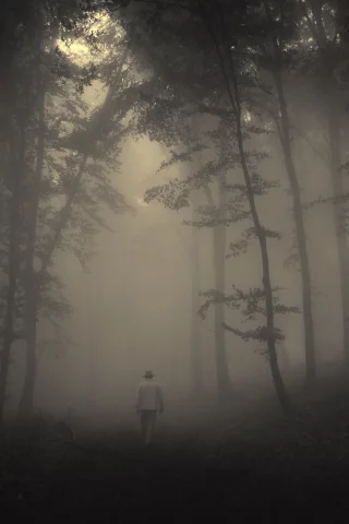 sadness, lonely old man, road, trees, creepy, nature, лес, misty, landscape, forest