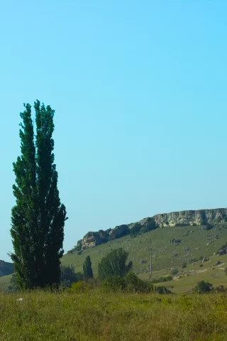 Скала, природа, Крым