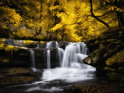 осень, река, каскад, водопад, лес, поток