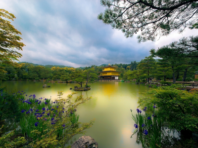 япония, golden pavilion, золотой павильон, temple, киото, kyoto, japan