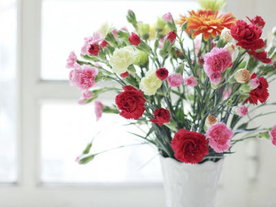ваза, разные, цветы, гвоздики