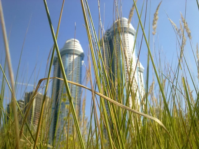 трава, город, москва, небоскреб
