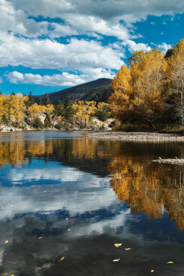 река, облака, осень, природа, небо, лес