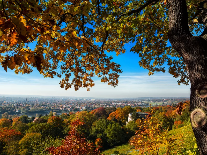 город, дома, germany, дрезден, германия, deutschland, dresden, вид