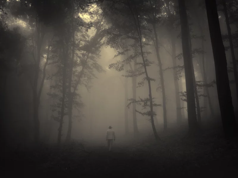 sadness, lonely old man, road, trees, creepy, nature, лес, misty, landscape, forest