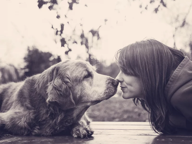 собака, smile, girl, девушка, друзья, friendship, dog, улыбка