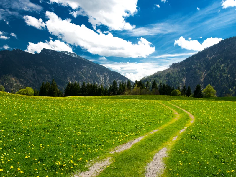 trees, mountains, clouds, beautiful nature, sky, landscape, pasture, the bavarian alps, green field