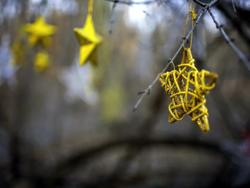 stars, праздник, макро