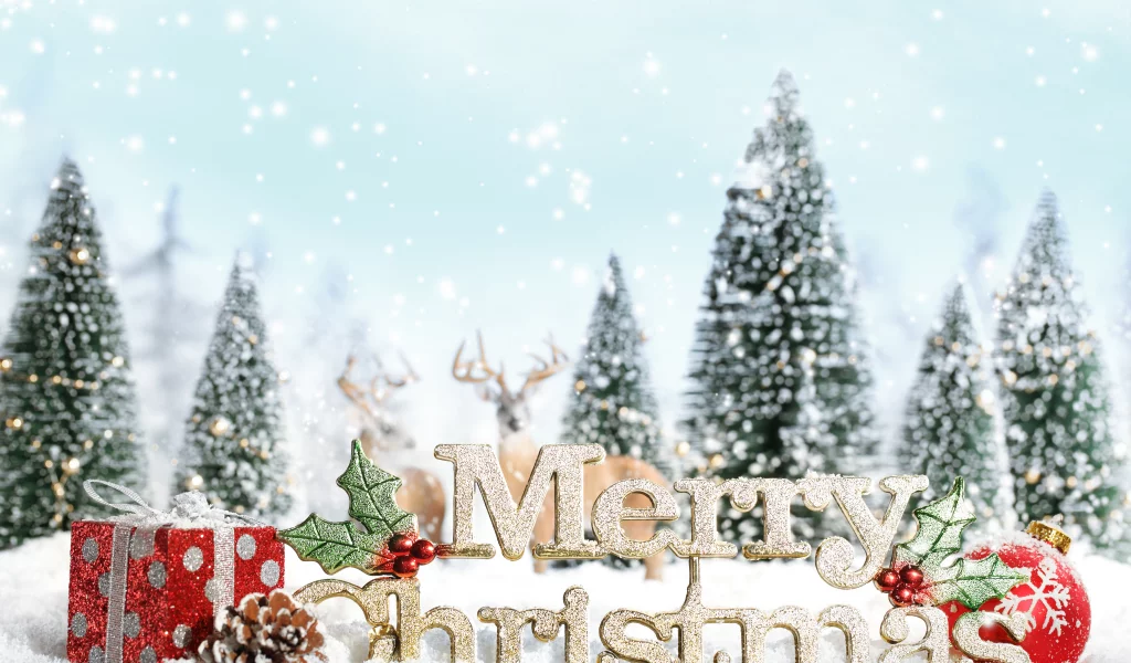 decoration, ornaments, christmas tree, new year, snow, snowflake, presents, merry christmas