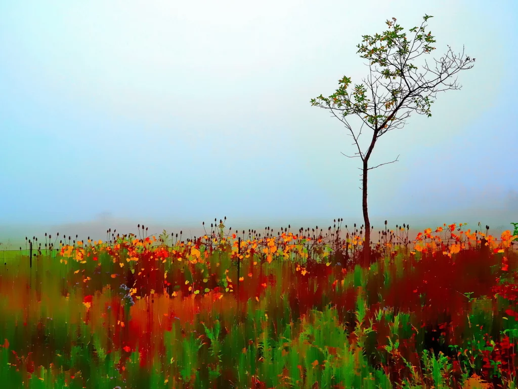 tree, autumn, single, painterly, colorful, blur, selective