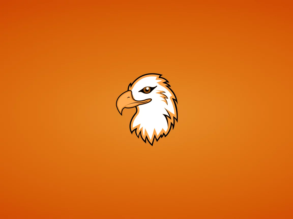 орлан, голова, eagle, орел, птица, минимализм, животное