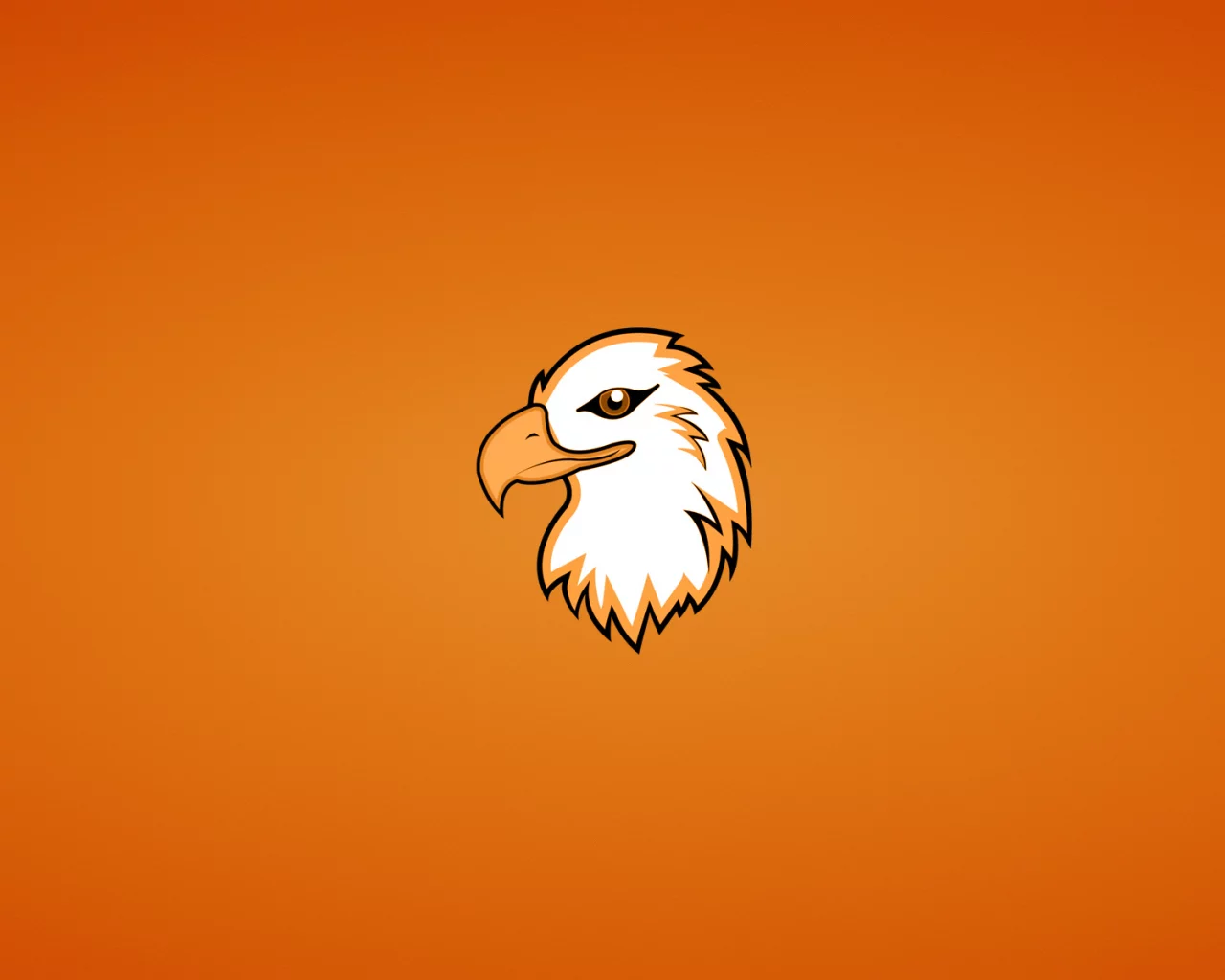орлан, голова, eagle, орел, птица, минимализм, животное