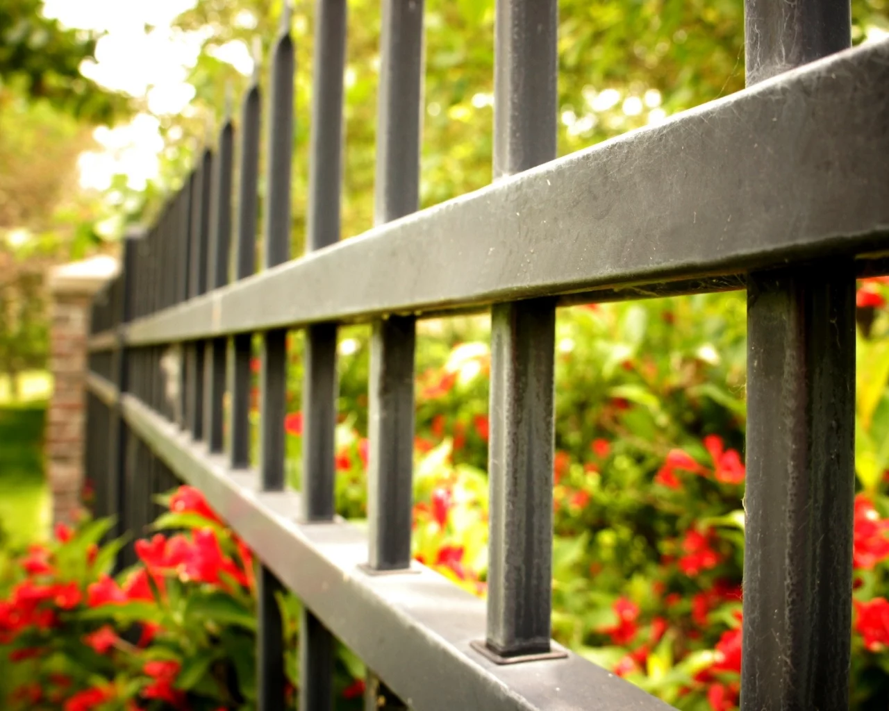 ворота, ограда, fence, забор, макро, macro, ограждение, flowers