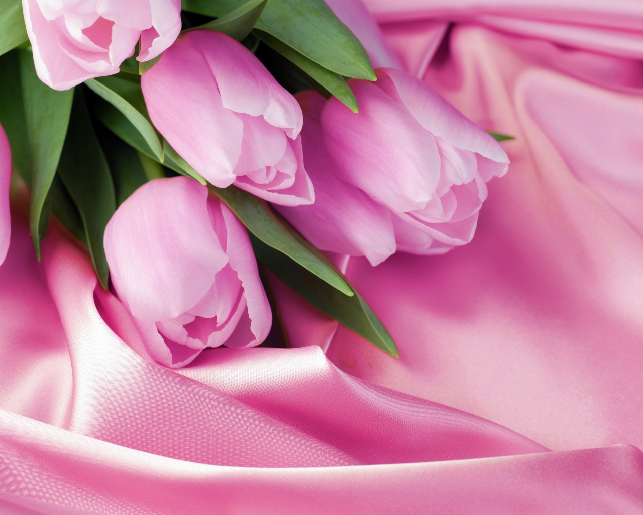 8 марта, тюльпаны, розовый, шелк