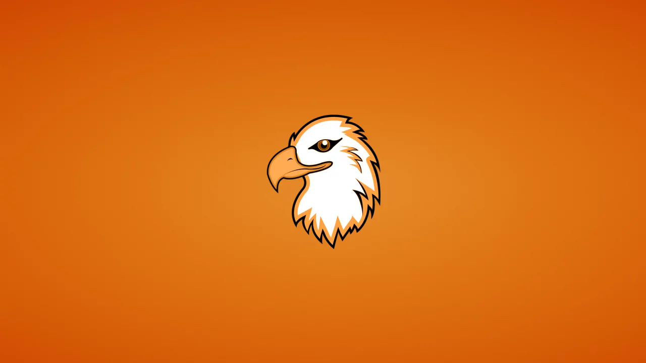 орлан, голова, eagle, орел, птица, минимализм, животное