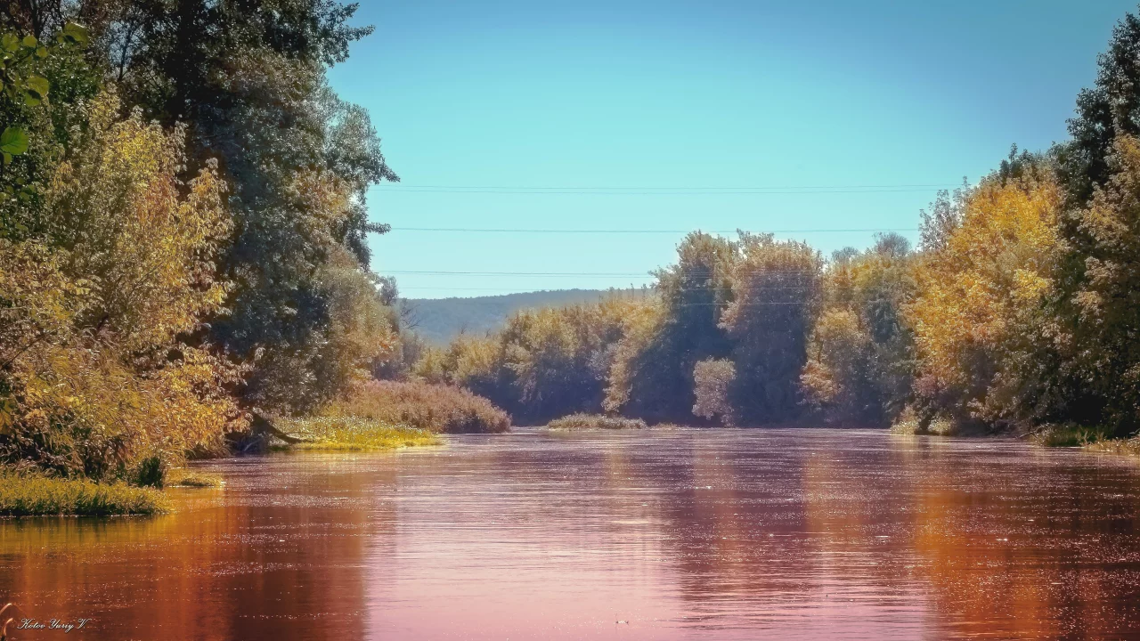 река, природа, лето