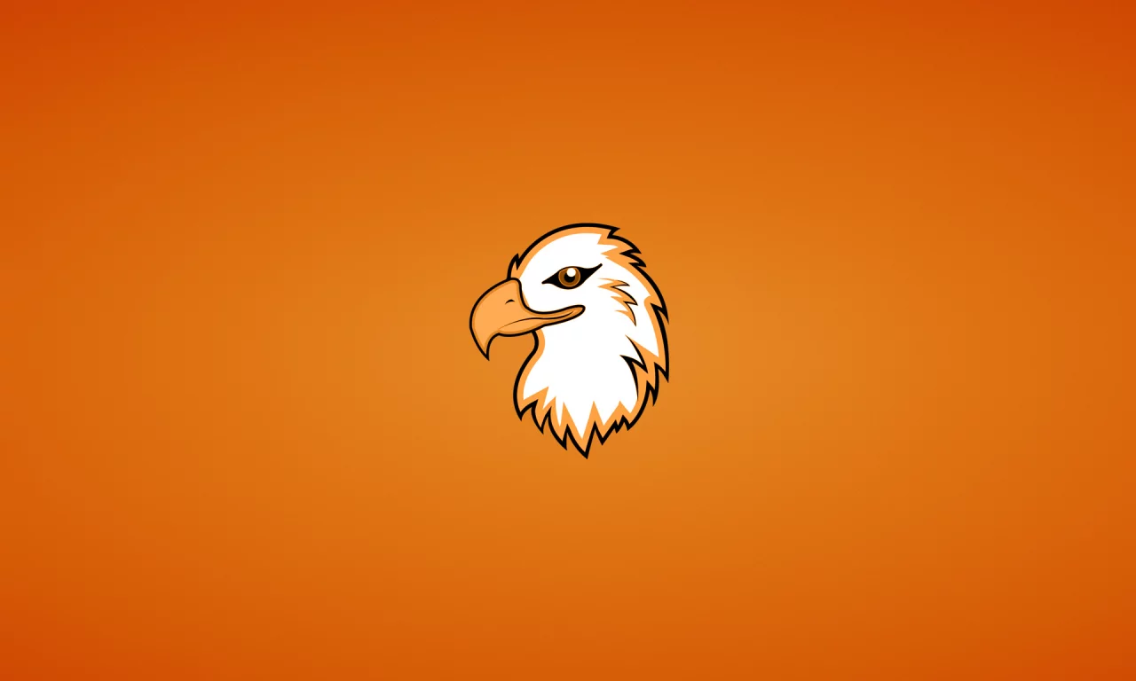 орлан, голова, eagle, орел, птица, минимализм, животное