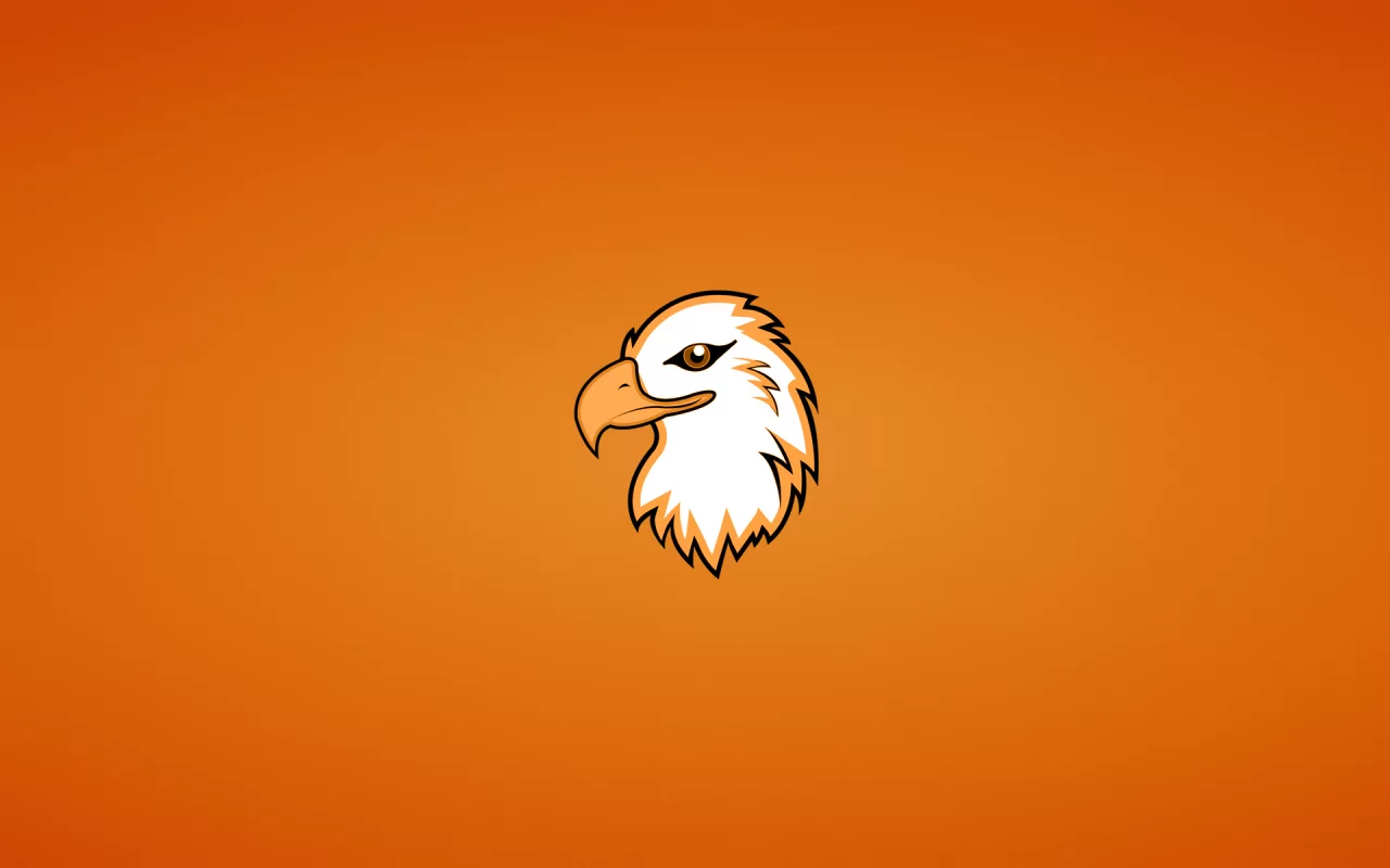 орлан, голова, eagle, орел, птица, минимализм, животное