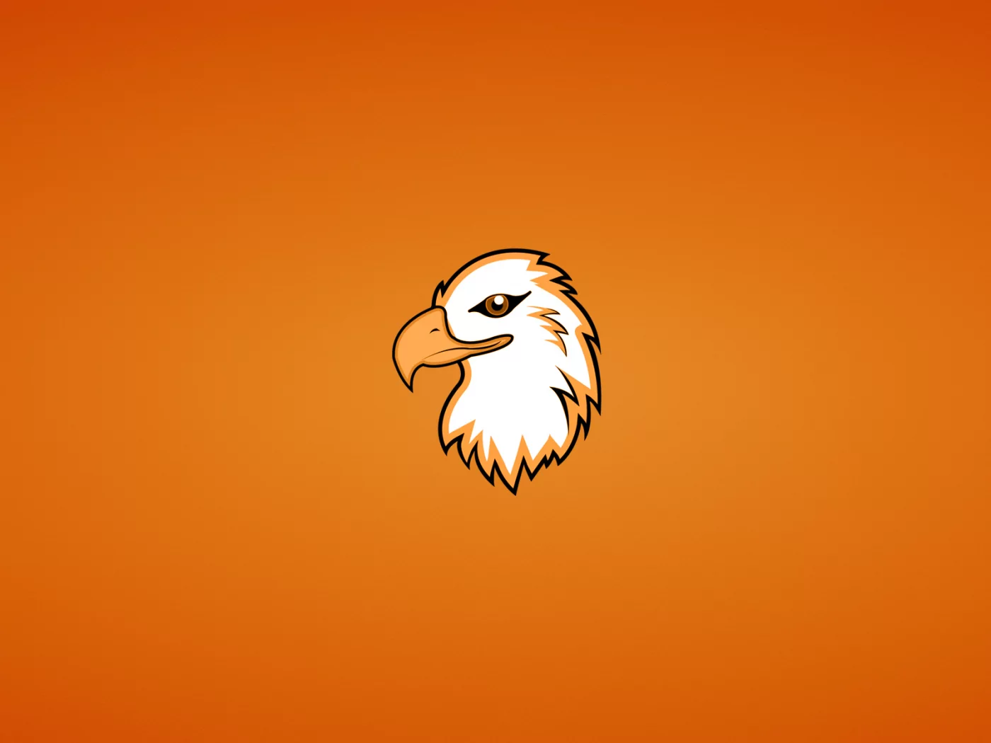 орлан, голова, eagle, орел, птица, минимализм, животное